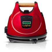 Ladybug® 2350 Steam Vapor System