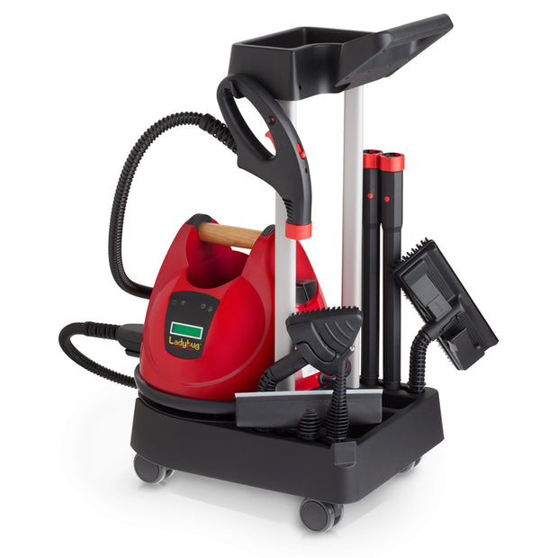 Ladybug® 2350 Steam Vapor System